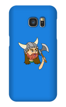 Viking Case