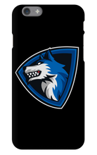 Vivid's iPhone Phone Cases