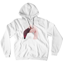 Hoodies (No-Zip/Pullover) flamenco
