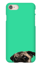 pugzzz iPhone Phone Cases