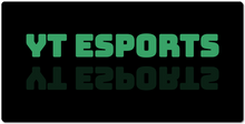 YT ESPORTS XXL Gaming Mousepad