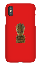 filbert5 iPhone Phone Cases