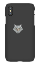Trx Frosty's iPhone Cases