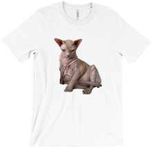 BRUCEWITHSHORTARMS