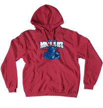 Hoodies (No-Zip/Pullover)