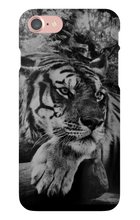 swyzz_jolino iPhone Phone Cases