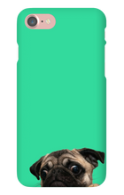 pugzzz iPhone Phone Cases