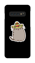 Kitty Tako Case