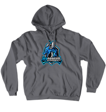 Hoodies (No-Zip/Pullover)