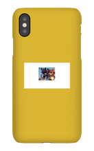 losgatosbandoleros iPhone Phone Cases