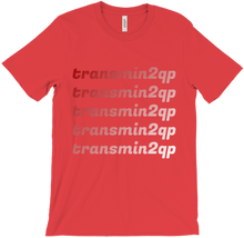 transmin2qp T-Shirts