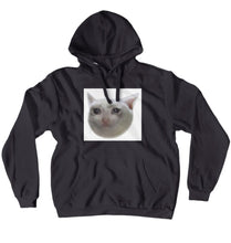 cat crying hoodie :)
