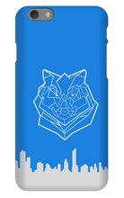 TDS Cases (iPhone)