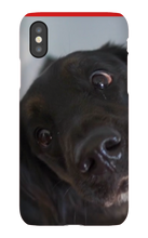 basic_dude_luke iPhone Phone Cases