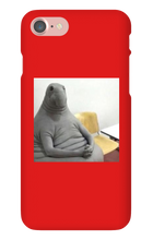 frick2oo5 iPhone Phone Cases