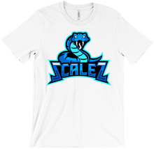 scaleztv T-Shirts