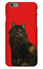 katten23cool iPhone Phone Cases