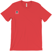 pgrproleplay T-Shirts