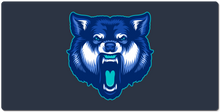 Team Frost XXL Mousepad