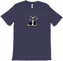 Piano Cat T-shirt - Missysocks