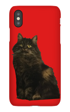 katten23cool iPhone Phone Cases