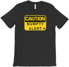Numpty Alert