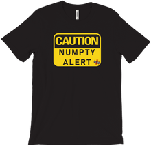 Numpty Alert
