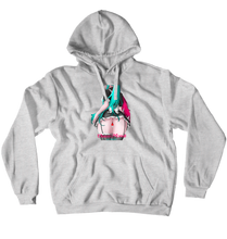 Hoodies (No-Zip/Pullover)