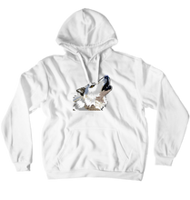 Hoodies (No-Zip/Pullover)