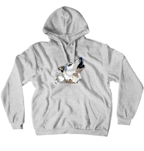 Hoodies (No-Zip/Pullover)