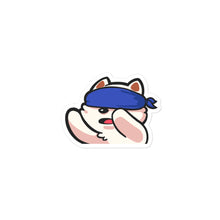 DarkViperAU Blind Sticker