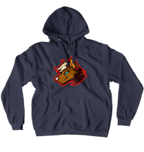 kaidalwaves logo pullover hoodie