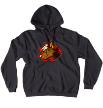 kaidalwaves logo pullover hoodie