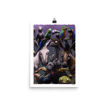 Alveus Poster
