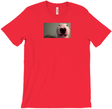 hinfinitus1 T-Shirts