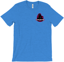Raven`s T-Shirts