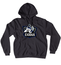 Hoodie W/ Classic Logo