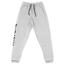 Theonemanny Japanese Joggers