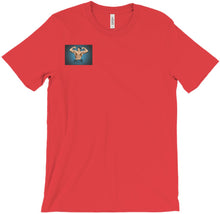 zepticoncsgo T-Shirts