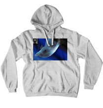 Hoodies (No-Zip/Pullover)