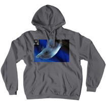 Hoodies (No-Zip/Pullover)