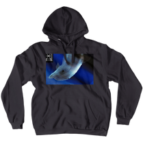 Hoodies (No-Zip/Pullover)