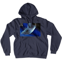 Hoodies (No-Zip/Pullover)