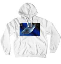 Hoodies (No-Zip/Pullover)