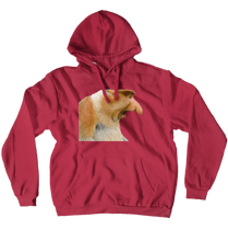 Hoodies (No-Zip/Pullover)