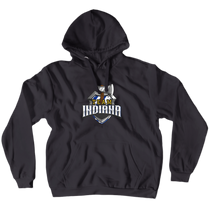 Team Indiana Axe Throwing Hoodie (No-Zip/Pullover)