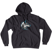 Hoodies (No-Zip/Pullover)